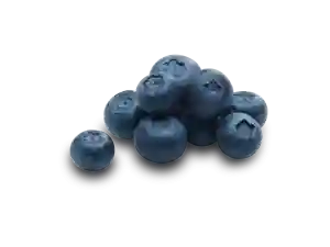 Blueberries (125 g) –  BHD / box